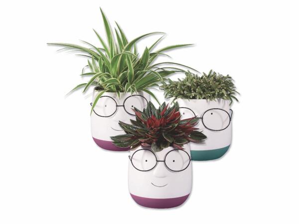 Green Plants
