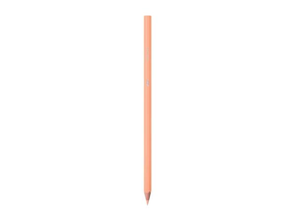 BIC Stationery Assortment
