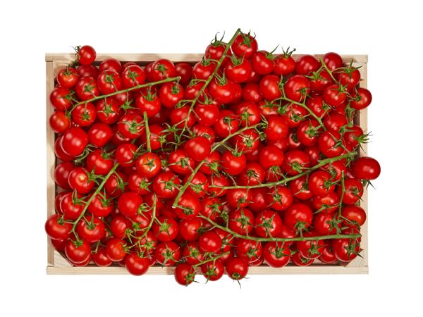 Tomates en grappe