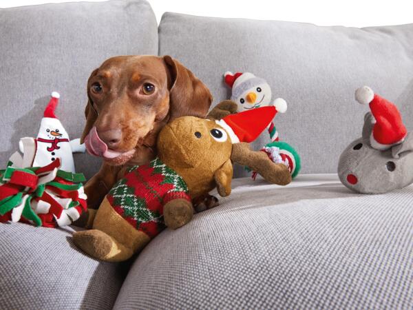 Assorted Dog Toys