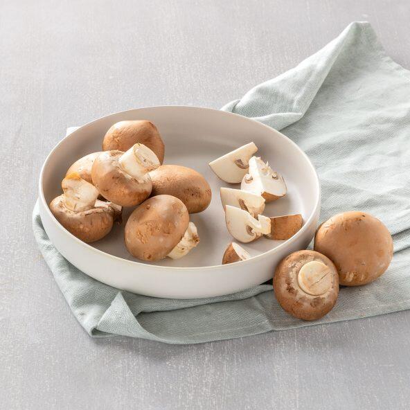 Kastanienpilze