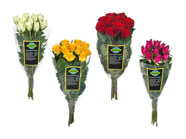 Roses issues du commerce quitable