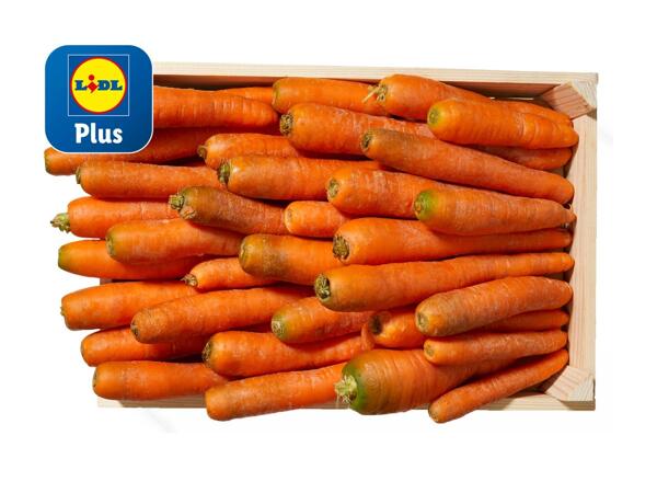Carottes