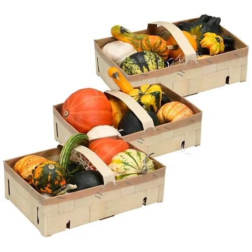 Courges décoratives dans un panier