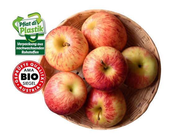 Bio Äpfel rot aus der Steiermark