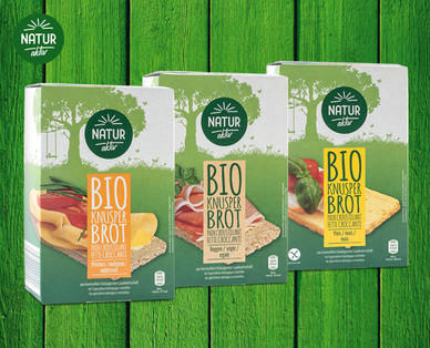 NATUR AKTIV Bio-Knusperbrot