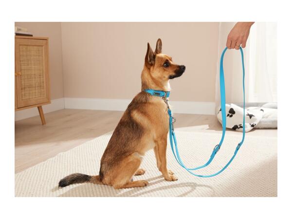 Zoofari Dog Collar and Lead