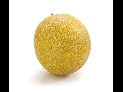 Melon Galia