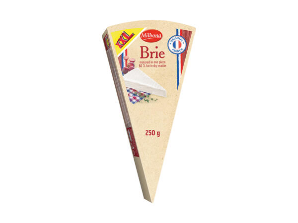 Brie XXL