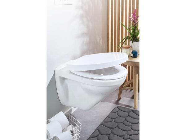 Toilet Seat