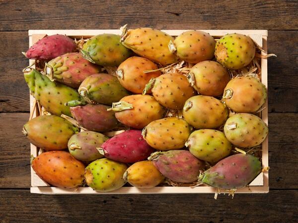 Figues de Barbarie