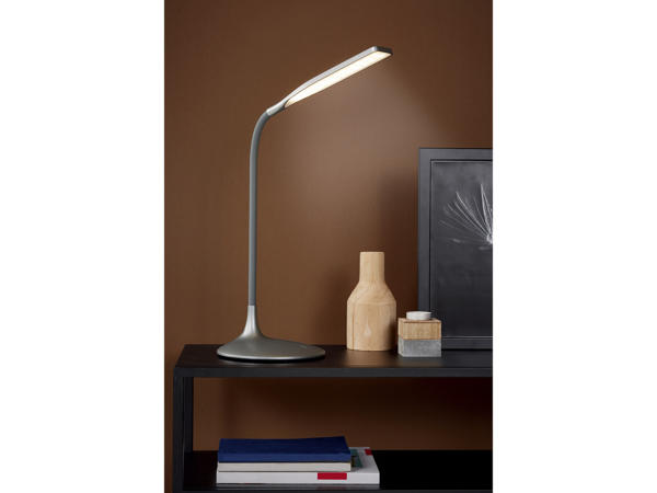 LED Desk Lamp
