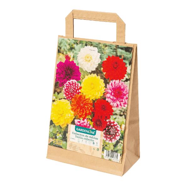 GARDENLINE(R) 				Blumenzwiebeln