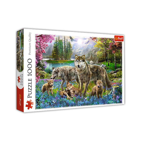 1000 Teile Puzzle