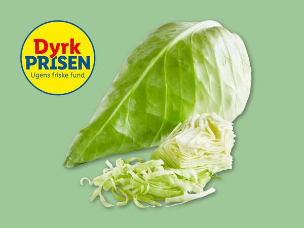 Dansk spidskål