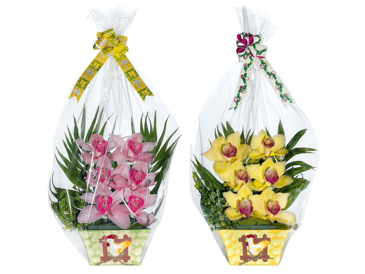 Orchideen 6er-Gesteck