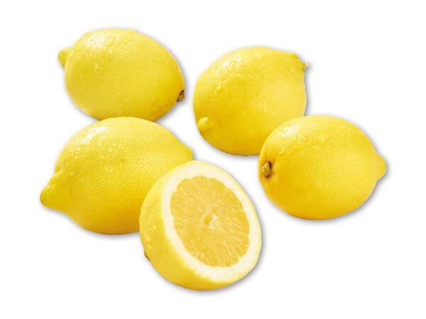 Økologiske citroner