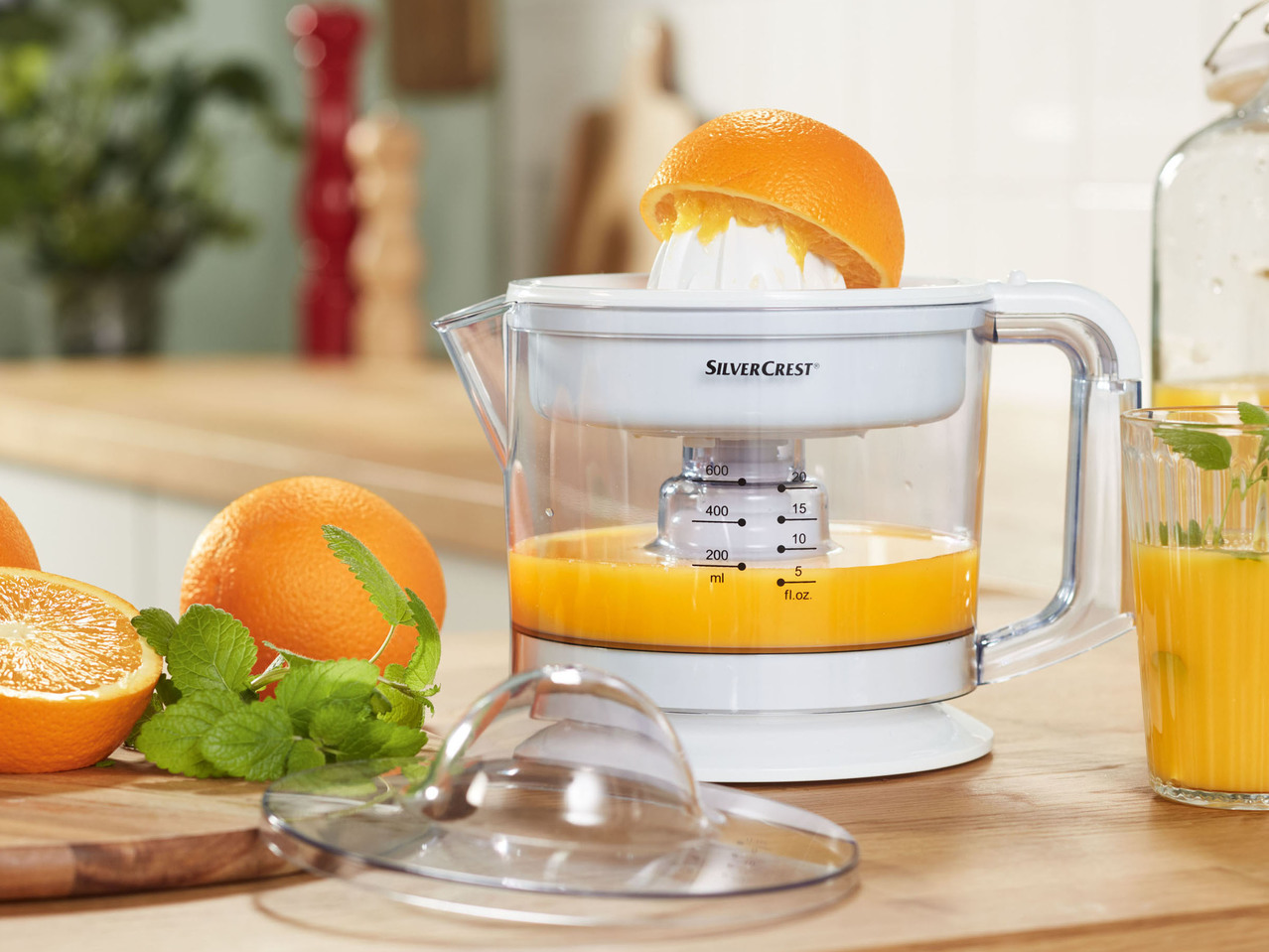 Citrus Juicer