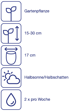 Heide