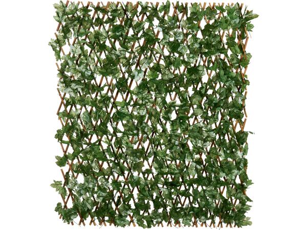 Privacy Screen
