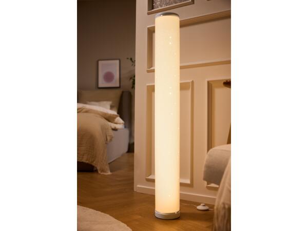 LED Floor Lamp