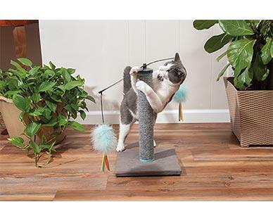Heart to Tail Cat Scratch and Play Post
