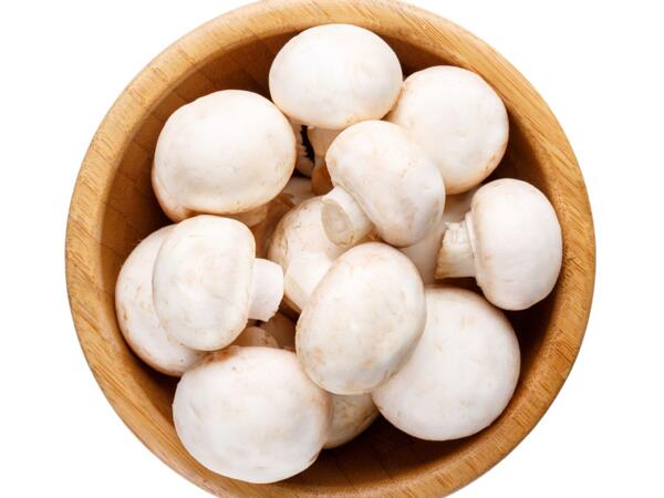Champignons weiß