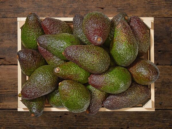 Avocat