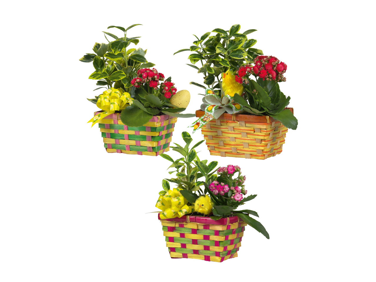 BLOMMOR I PÅSKKORG