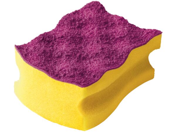 Cleaning Sponges