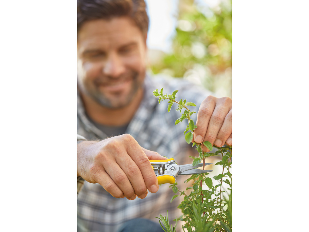 Florabest Garden Maintenance Secateurs Set1