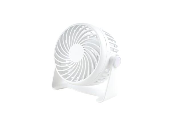 Portable Fan