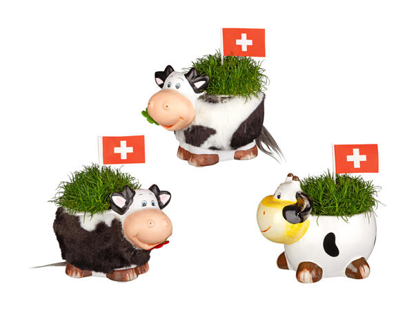 Sagine dans un pot en forme de vache pour le 1er août