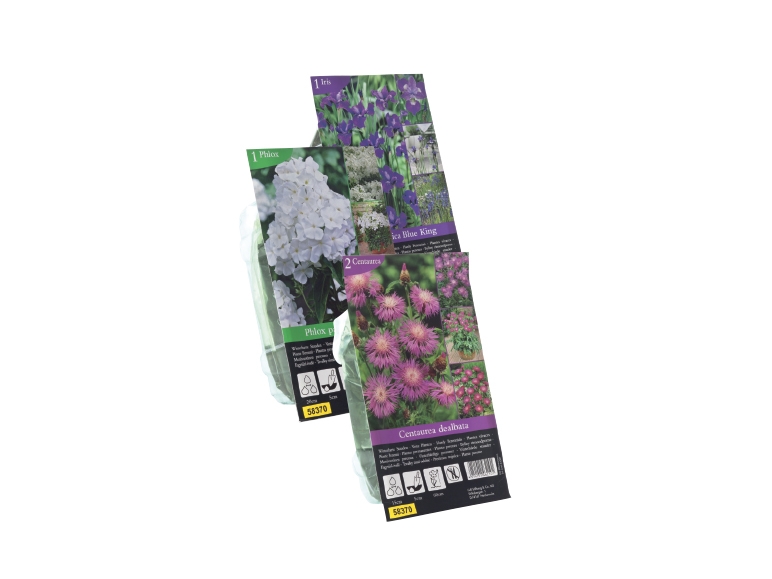 Perennials