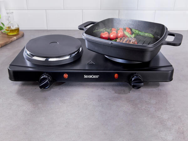 Dual Hotplate