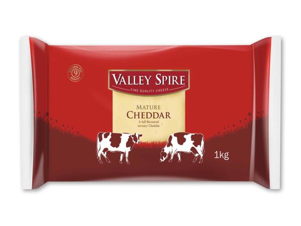 Modnet cheddar