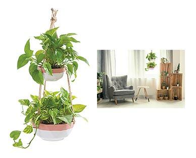 Belavi 
 Double Hanging Planter