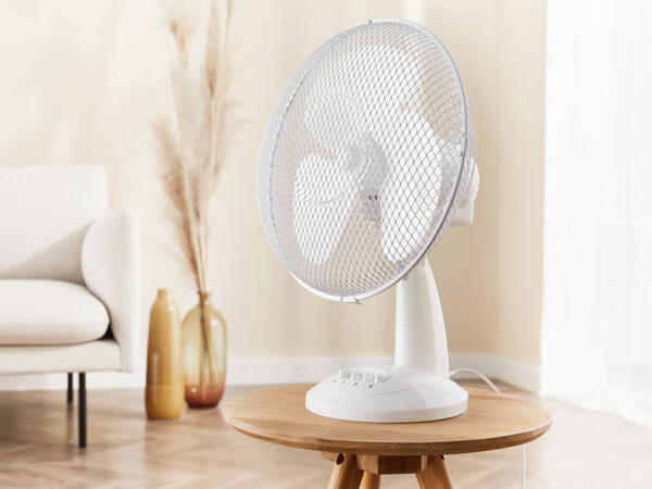 Desk Fan