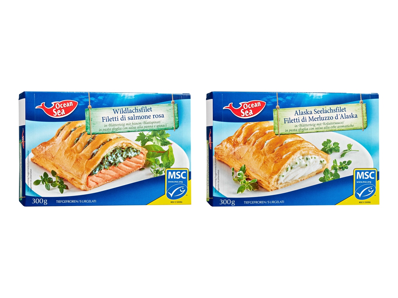Feuilleté de poisson MSC