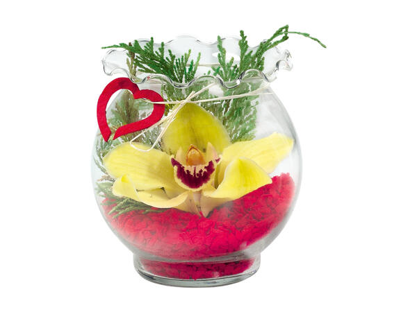 Orchid in a Glass Pot