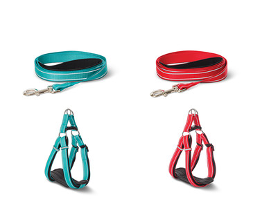 Heart to Tail Pet Leash or Dog Harness