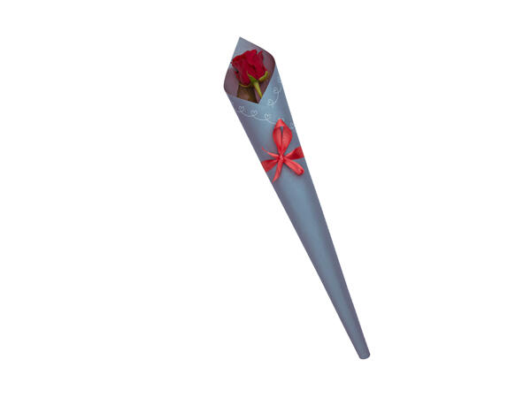 Deluxe Single Red Rose