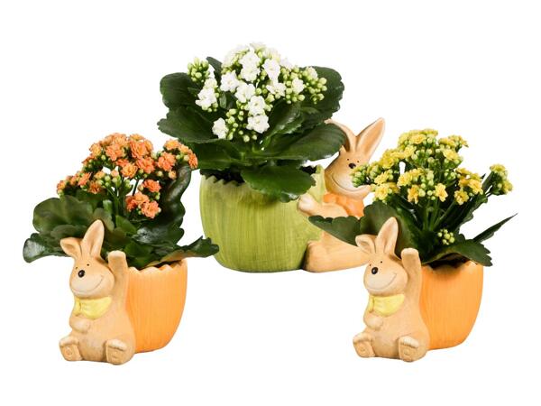 Easter bunny