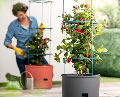 GARDENLINE Pflanztopf XXL