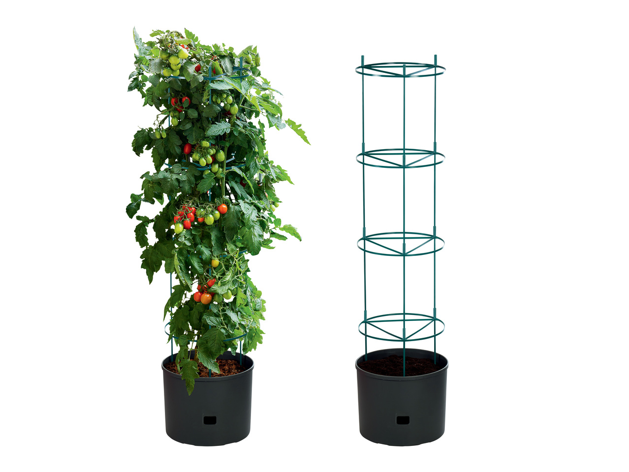 Kruka för tomatplantor1