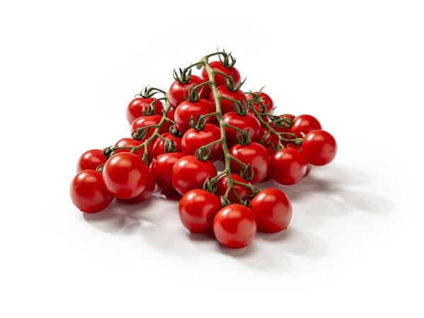 Cherry rajčata keříková