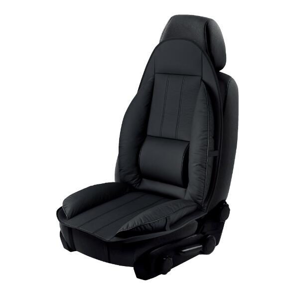 RIDE+GO(R) 				Universal-Autositzkissen