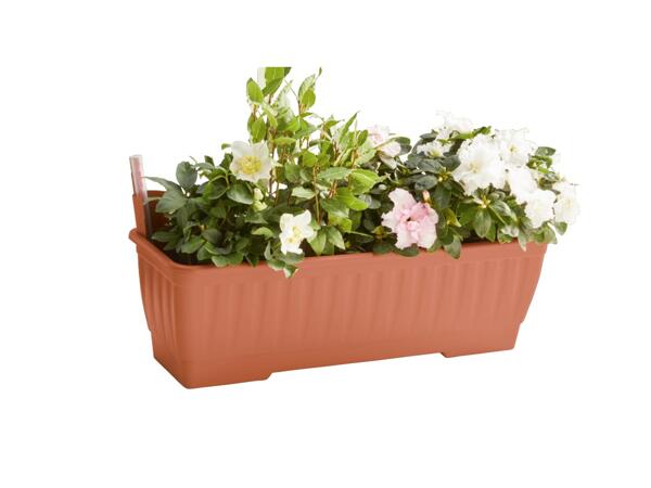 60cm Flower Box