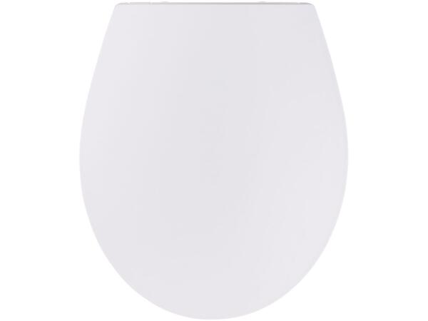 Toilet Seat with Automatic Lowering Fuction