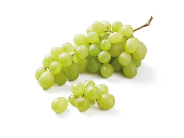 White Grapes XXL